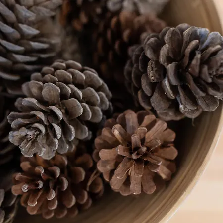 Casa Delle Pigne Camporeale