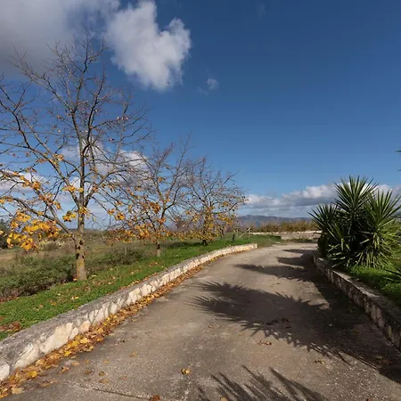 Casa Delle Pigne Apartman *