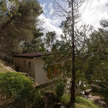 Casa Delle Pigne Apartment