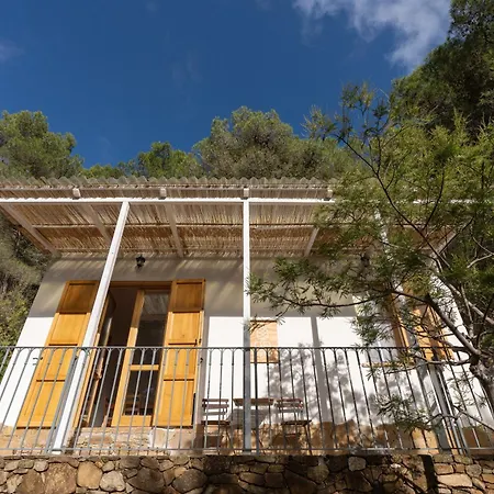 Casa Delle Pigne Apartment